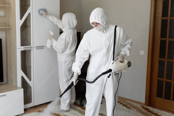 Best Mold Odor Removal Services  in Mammoth, AZ